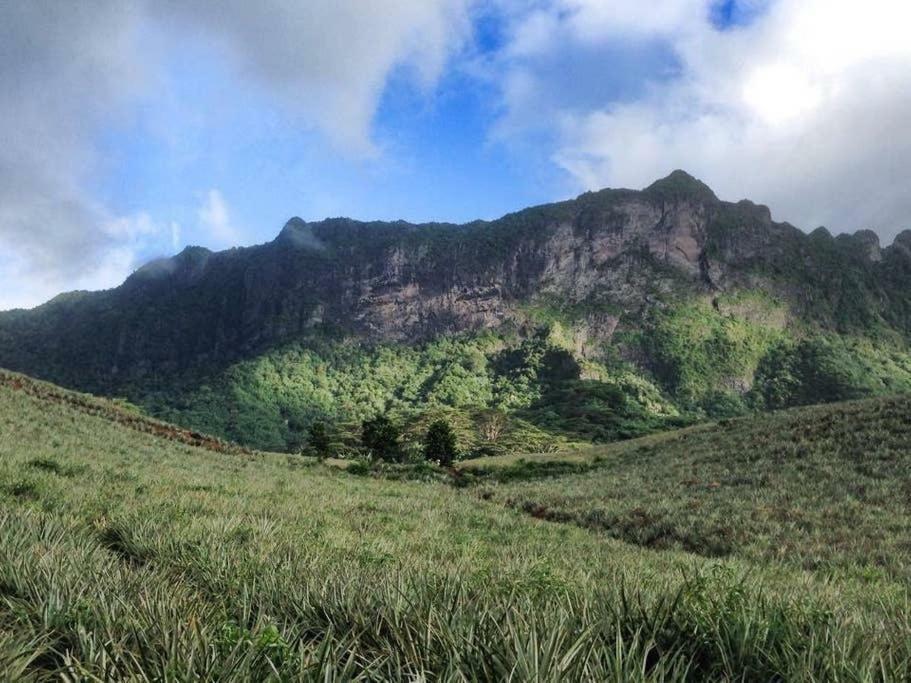 Fare Haurevaiti Moorea Paopao 外观 照片