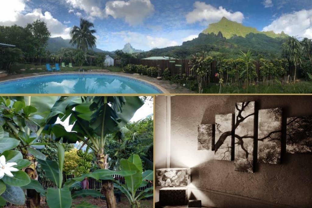 Fare Haurevaiti Moorea Paopao 外观 照片