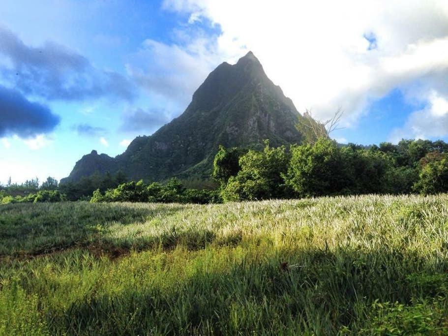 Fare Haurevaiti Moorea Paopao 外观 照片