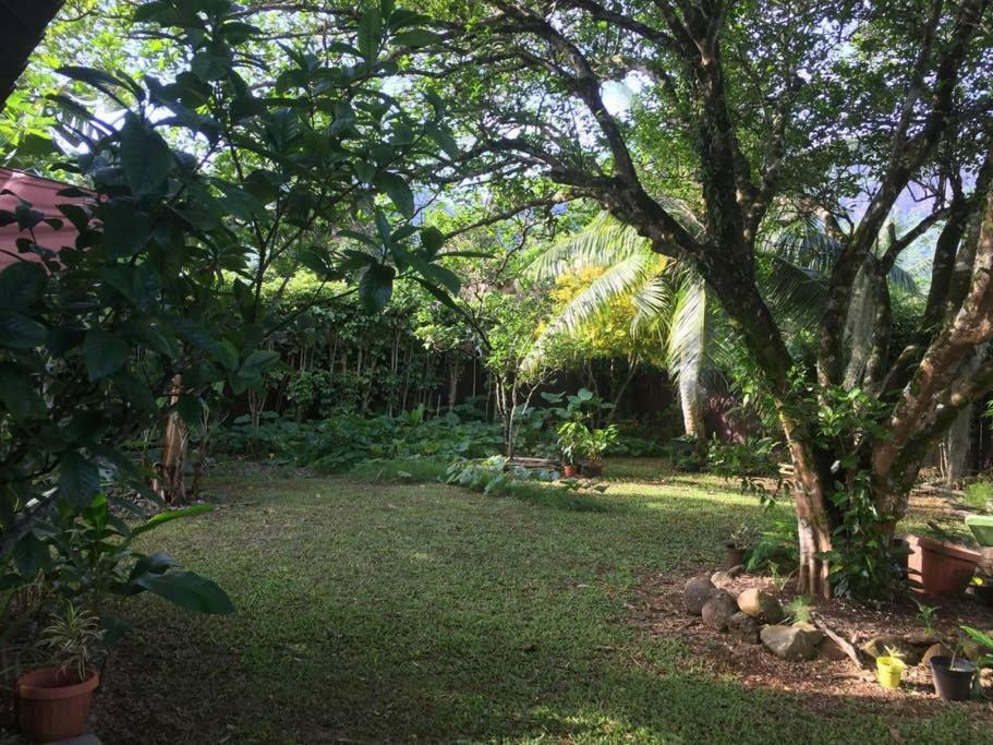 Fare Haurevaiti Moorea Paopao 外观 照片